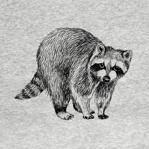 Raccoon Illustration by rachelsfinelines